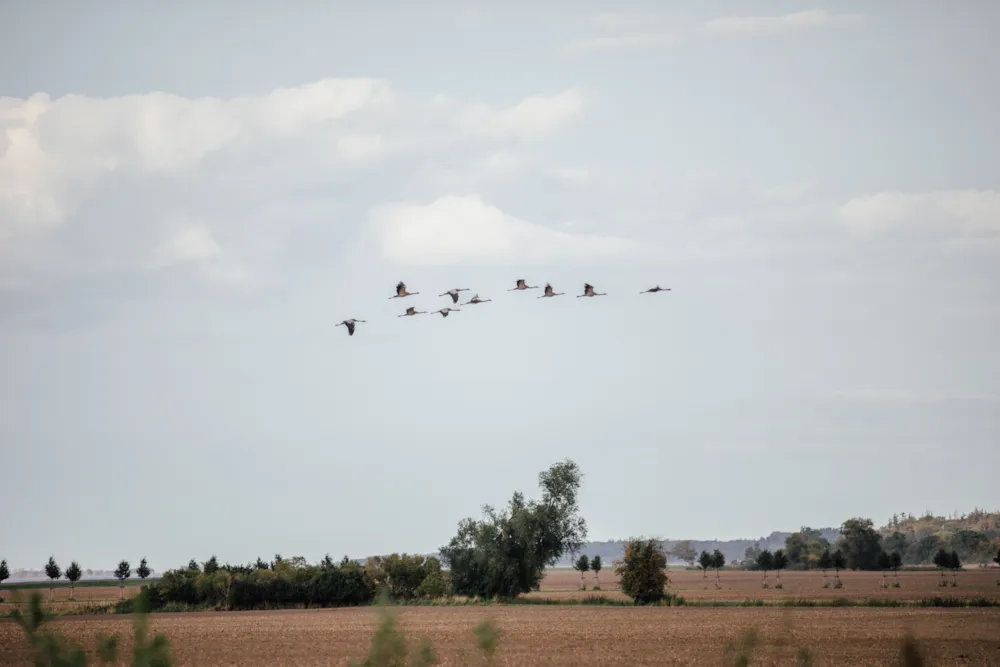 Prima Camping Resort Ostsee-Boddenblick 