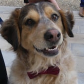 Camping L’Escale Occitane