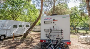 Stellplatz - Stellplatz **** - Ausschließlich Wohnmobil - Yukadi Village Les Couleurs de la Coubre