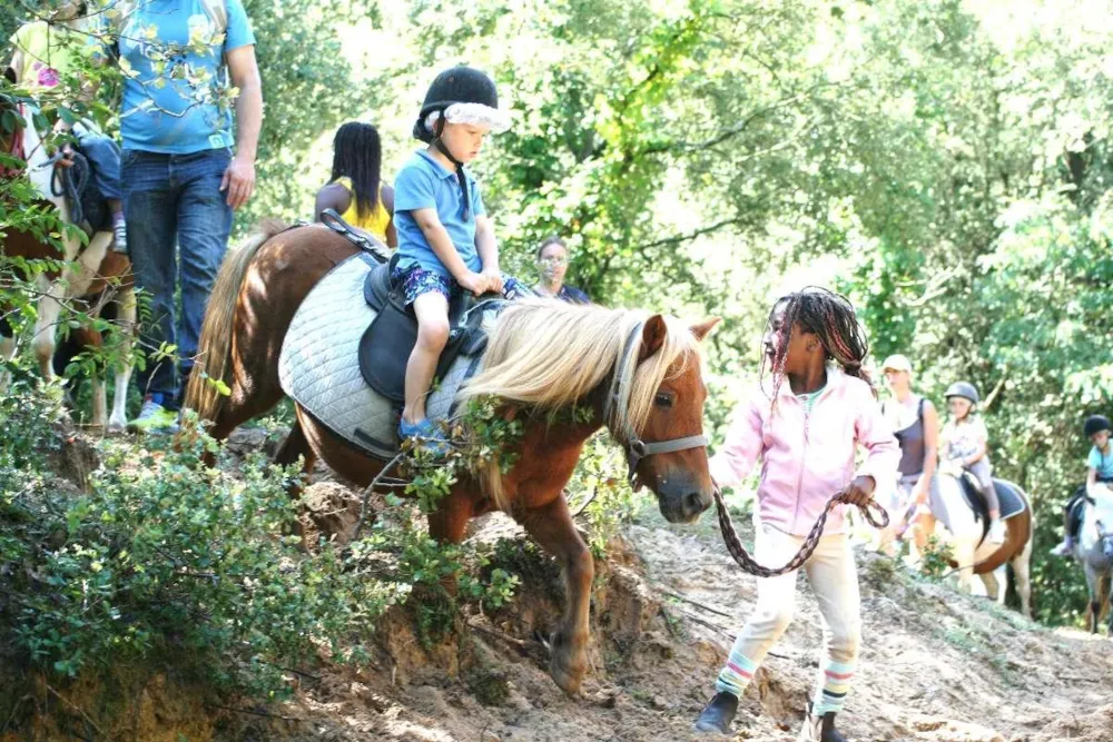 Camping L'Abri des Pins