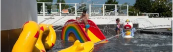 Camping L'Abri des Pins - image n°2 - Camping Direct