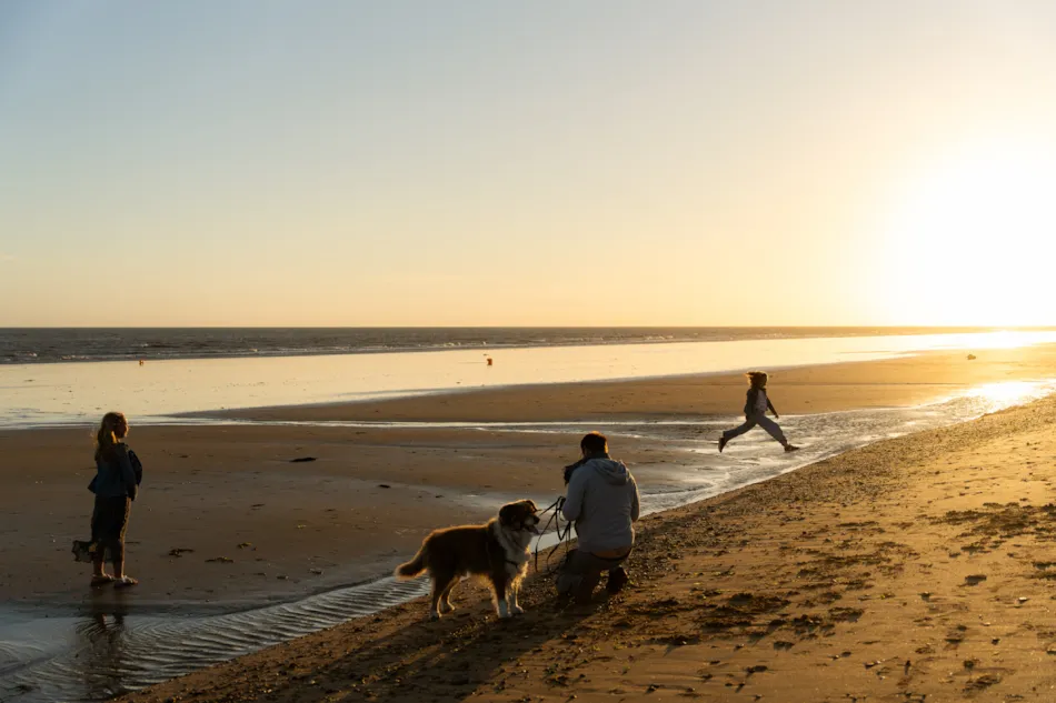 Camping L'Abri des Pins