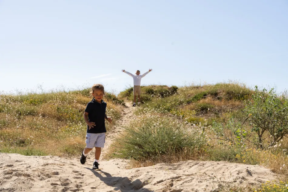 Camping L'Abri des Pins