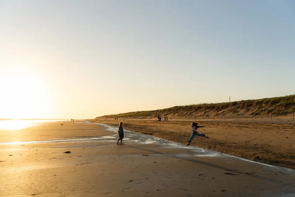 Camping L'Abri des Pins