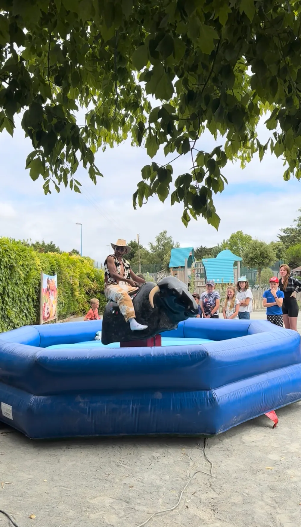 Camping L'Abri des Pins