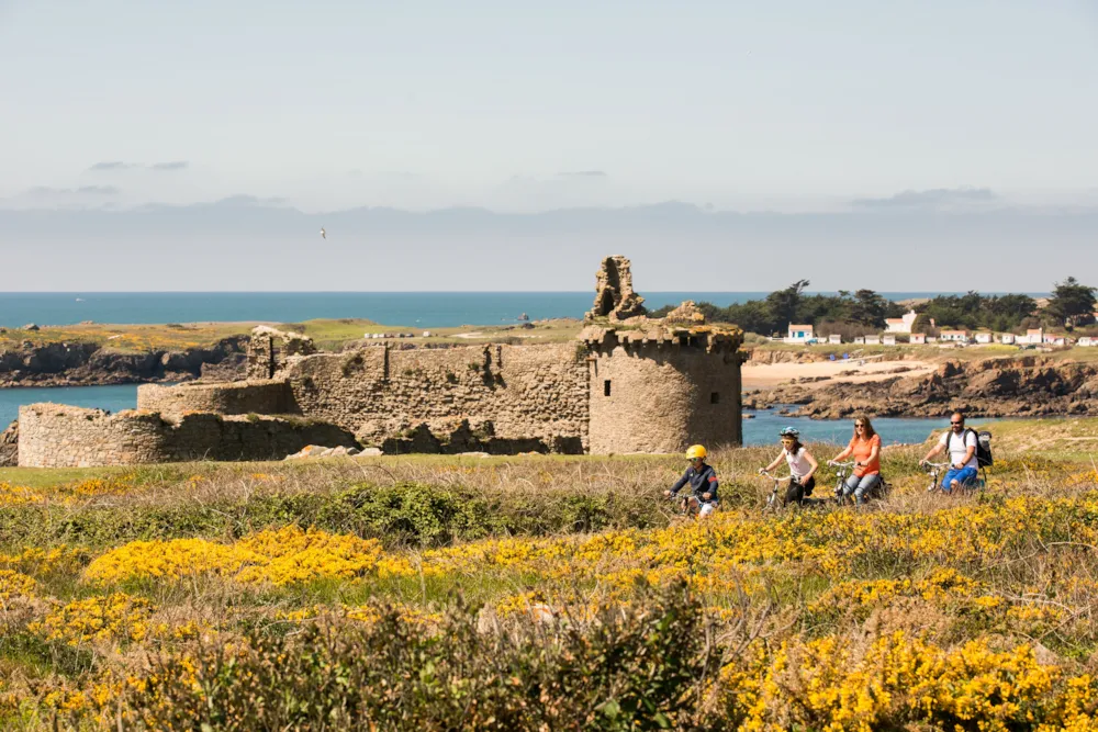Camping L'Abri des Pins