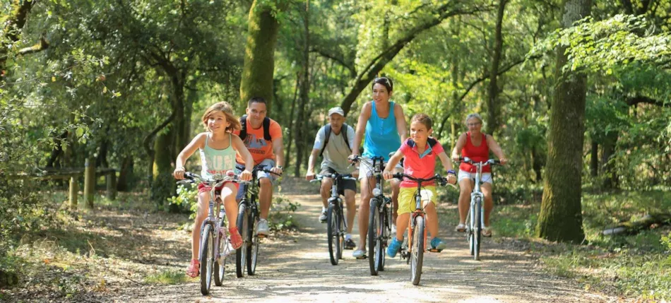 Camping L'Abri des Pins