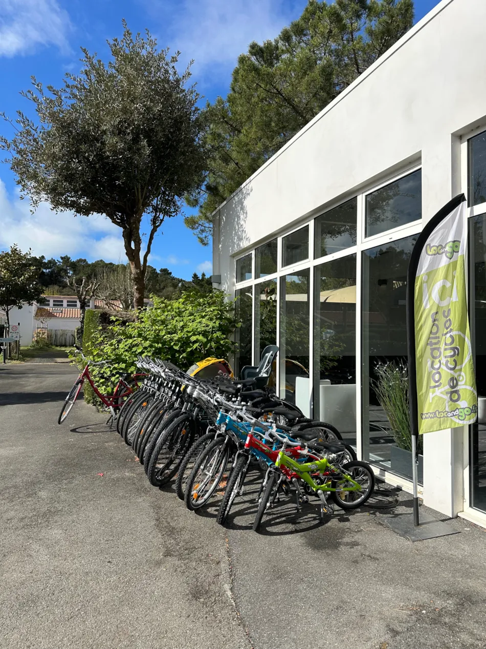 Camping L'Abri des Pins