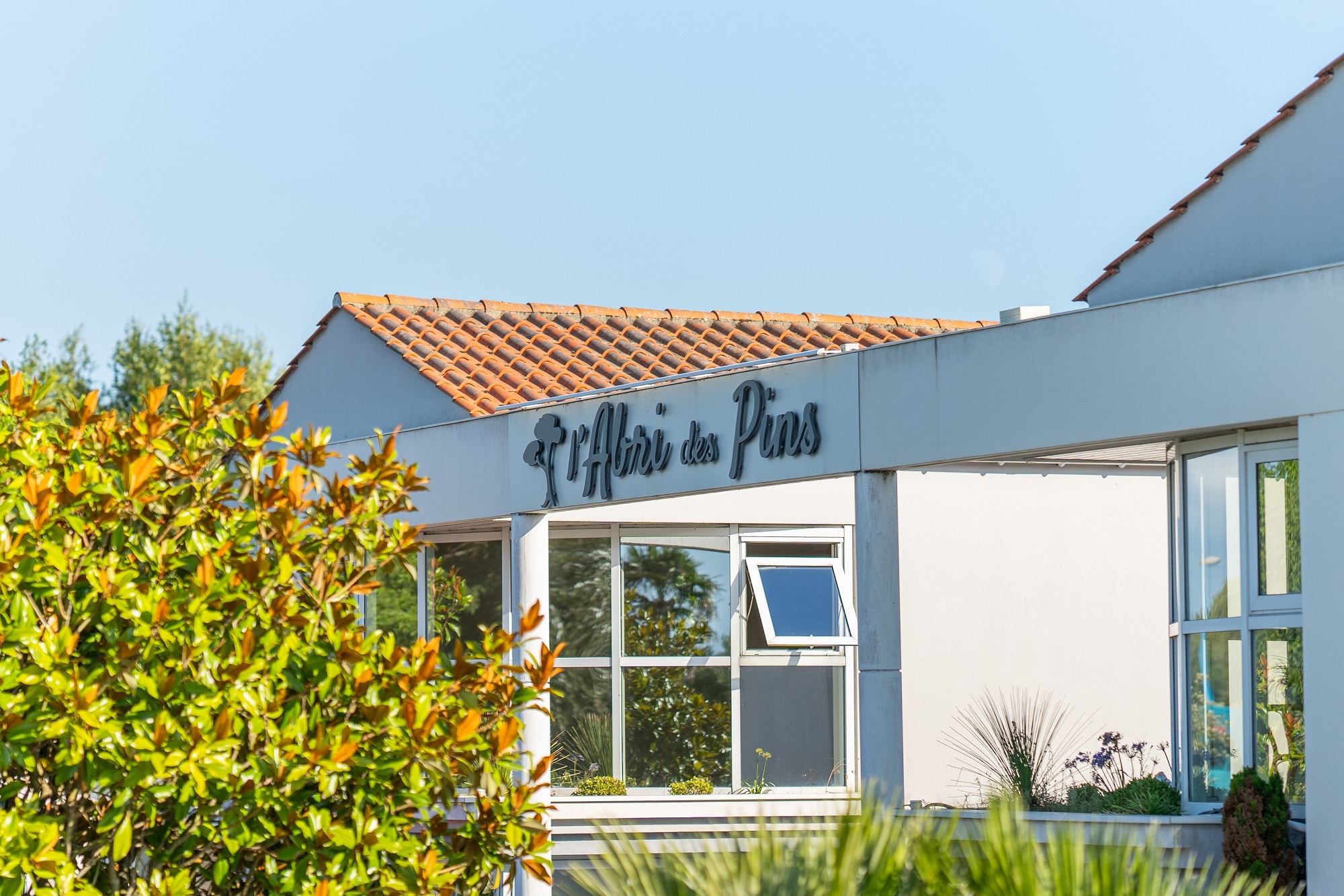 Camping L'Abri des Pins — Photo 2