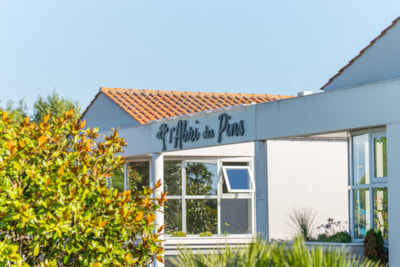 Camping L'Abri des Pins