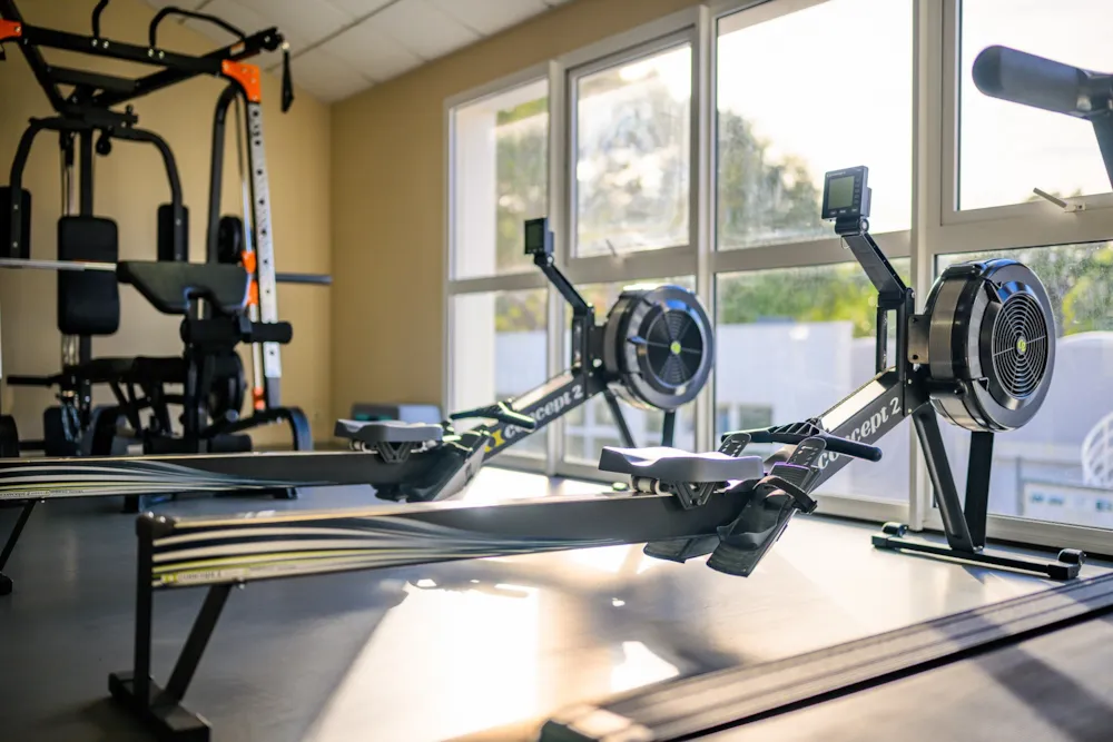 Camping L'Abri des Pins