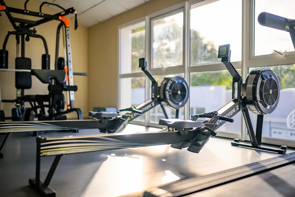 Camping L'Abri des Pins