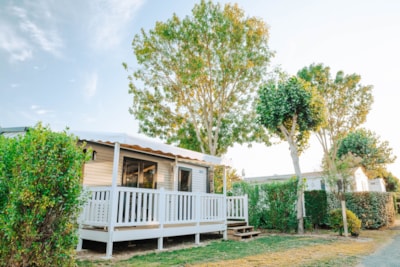 Dimanche - SUNELIA CONFORT PLUS 3 chambres - 35m² - Terrasse couverte