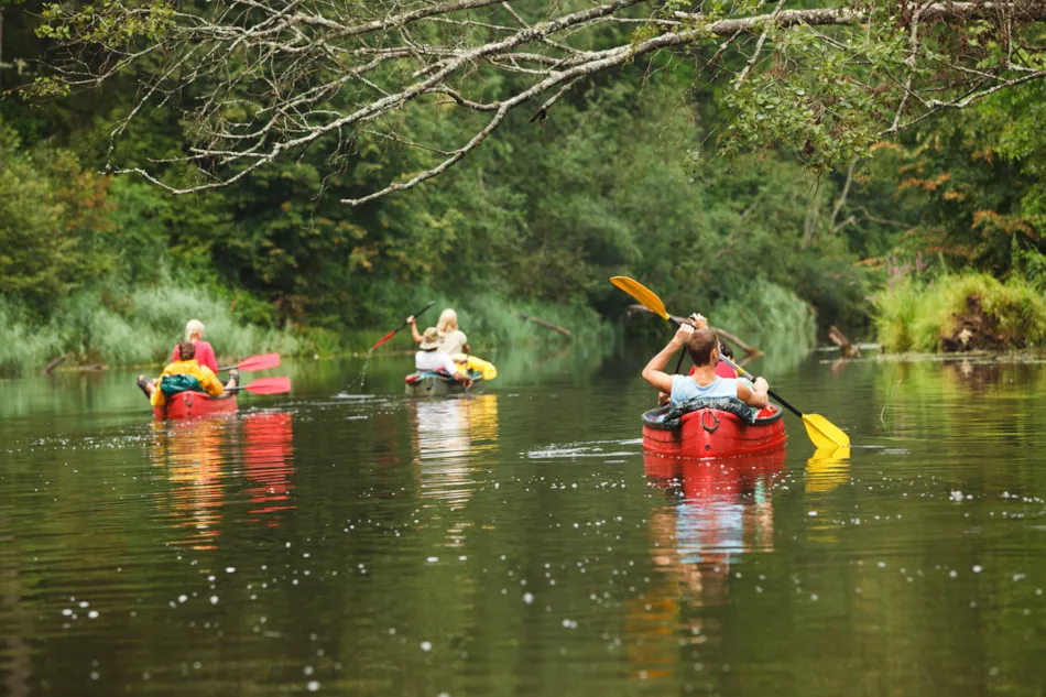 Lodg'ing - Nature Camp Ardennes