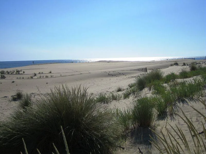 Camping Sandaya L'Orée du Bois