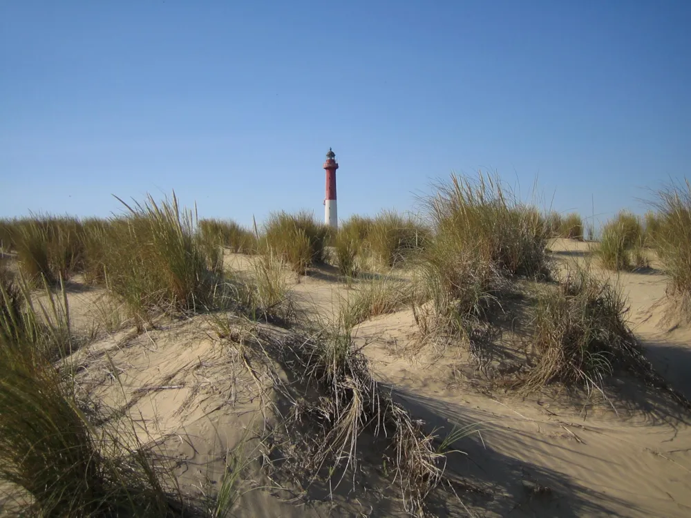 Camping Sandaya L'Orée du Bois