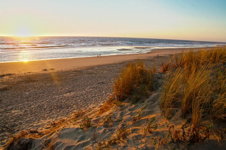 Camping Sandaya L'Orée du Bois