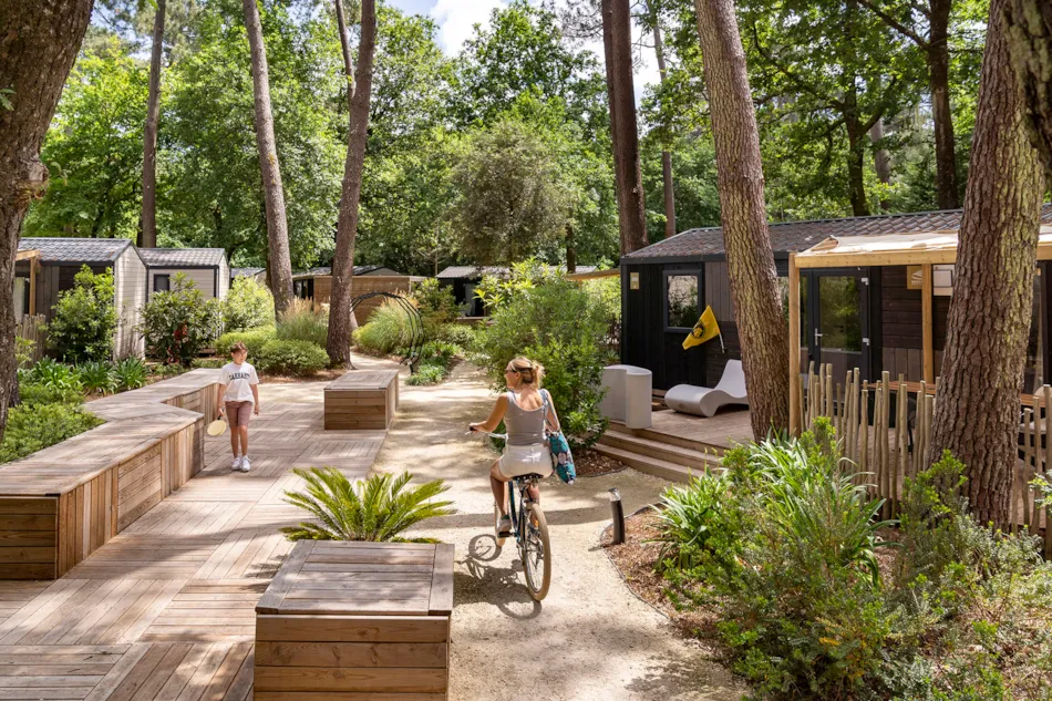 Camping Sandaya L'Orée du Bois