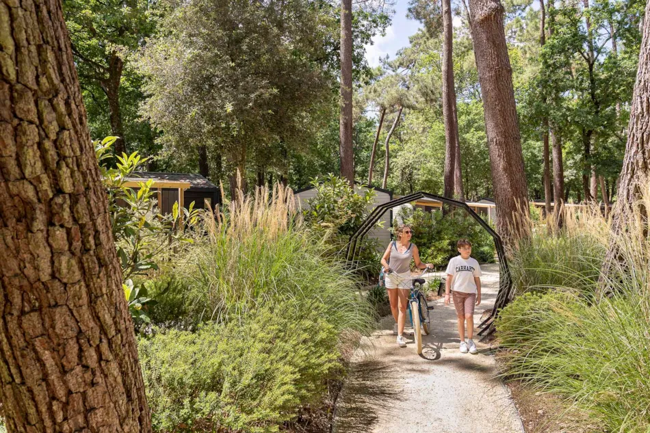 Camping Sandaya L'Orée du Bois