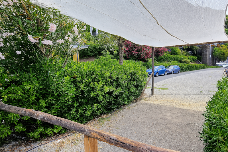 Small shaded pitch (7x3m) for Tent - NO DOGS ALLOWED