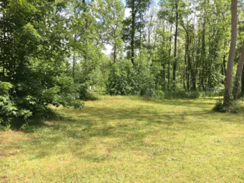 Stellplatz - Stellplatz + Strom 16A + Abwasserentsorgung - Castel Camping Château de Chanteloup