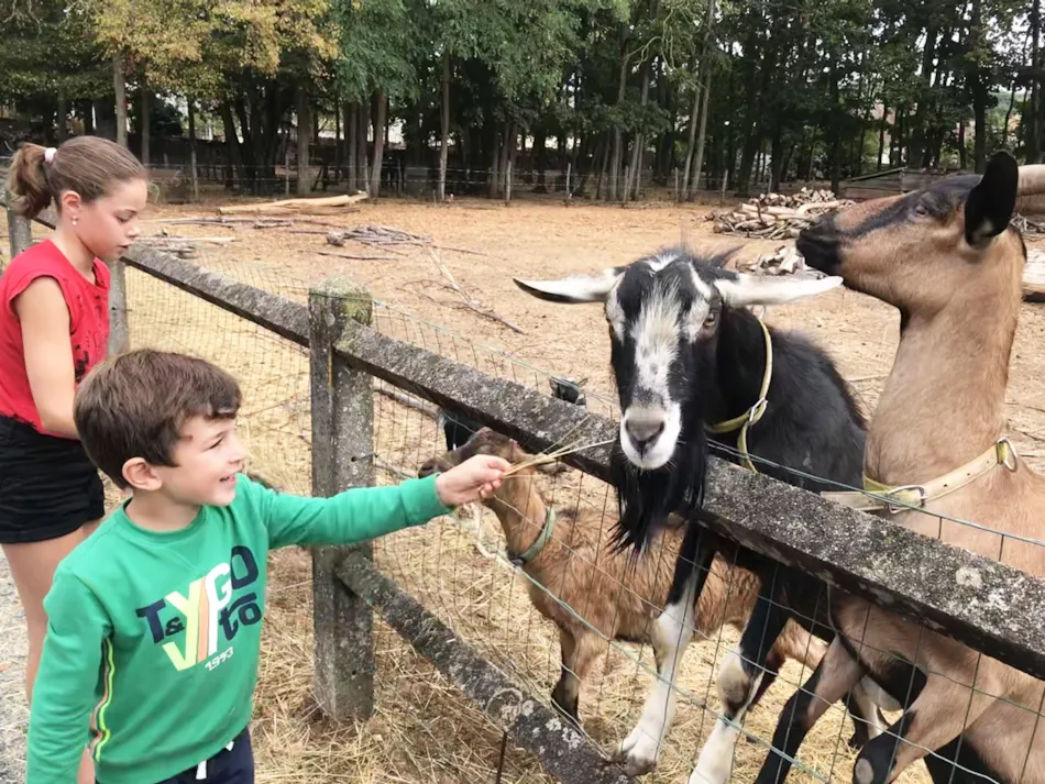 Castel Camping Château de Chanteloup