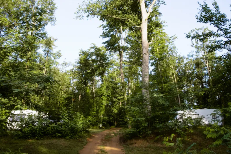 Emplacement + Electricité 16A + Évacuation Eaux Usées