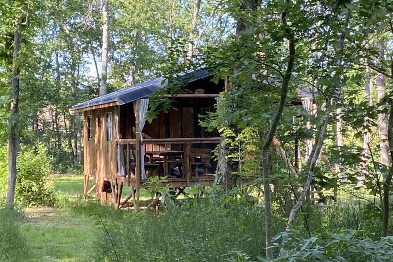 Cabanes Dans Les Bois