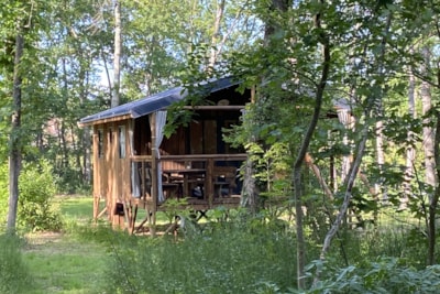 Cabin in the woods
