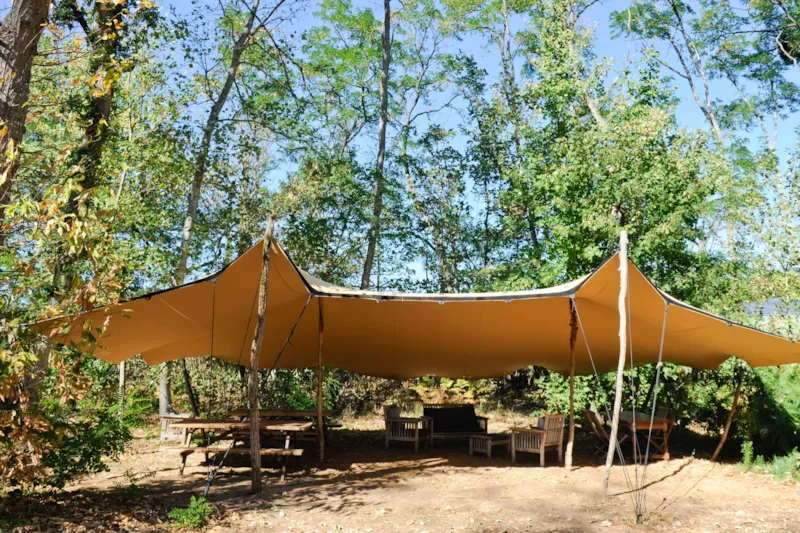 Cabanes Dans Les Bois