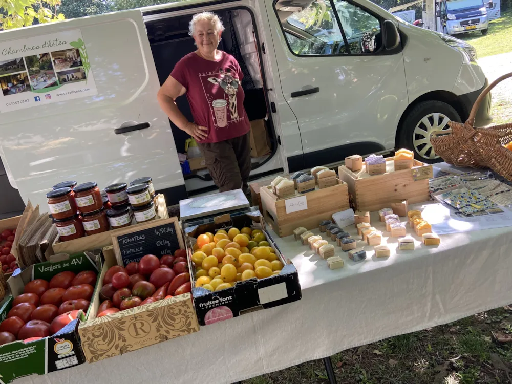 Castel Camping Château de Chanteloup