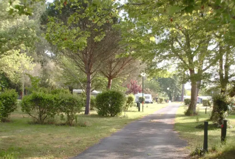 Emplacement - Emplacement Nu Avec Électricité - Camping Bel Air Village Le Lac de Cazaux