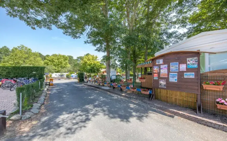 Camping Bel Air Village Le Lac de Cazaux