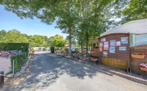 Camping Bel Air Village Le Lac de Cazaux - MyCamping