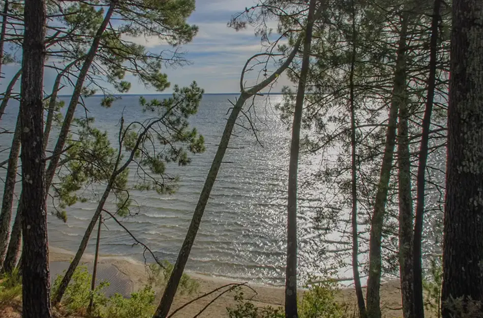 Camping Bel Air Village Le Lac de Cazaux