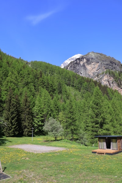 Camping package (pitch, 2 people, 1 vehicle)