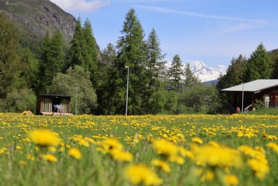 Camping Onlycamp de Tignes