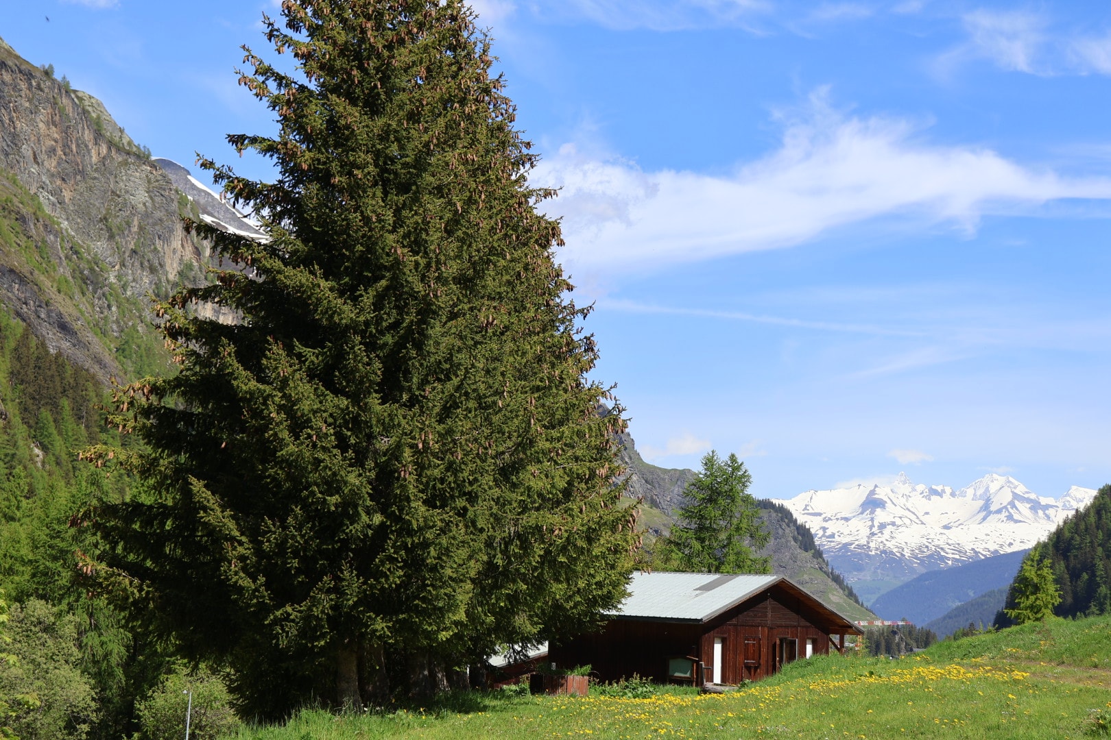 Camping Onlycamp de Tignes — Photo 4