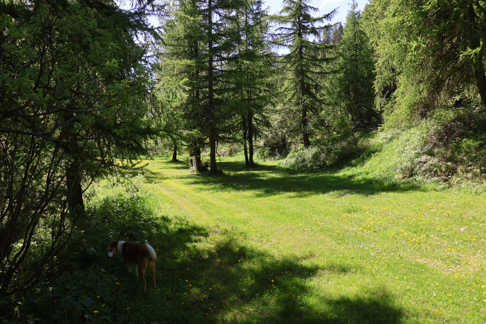Camping Onlycamp de Tignes — Photo 5
