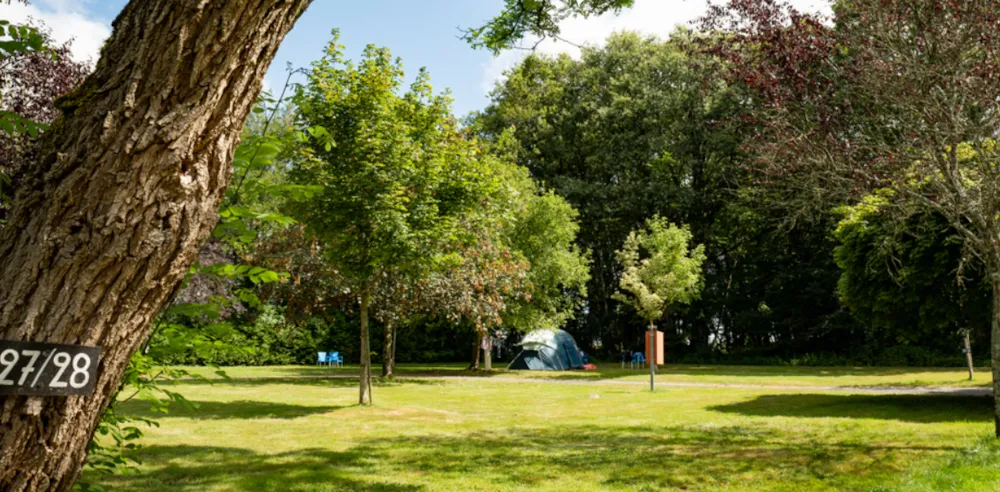 Emplacement - Forfait Camping (Emplacement, 2 Personnes, 1 Véhicule) - Camping Onlycamp Le Petit Bois