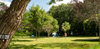 Emplacement - Forfait Camping (Emplacement, 2 Personnes, 1 Véhicule) - Camping Onlycamp Le Petit Bois