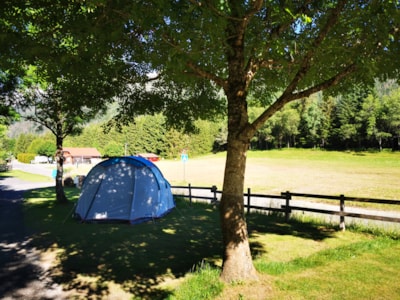 Camping package (pitch, 2 people, 1 vehicle)