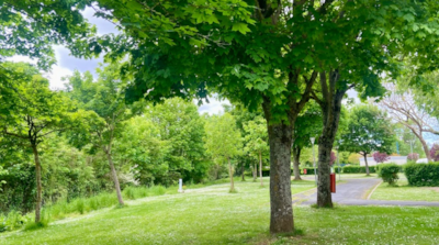 Camping package (pitch, 2 people, 1 vehicle) — 1
