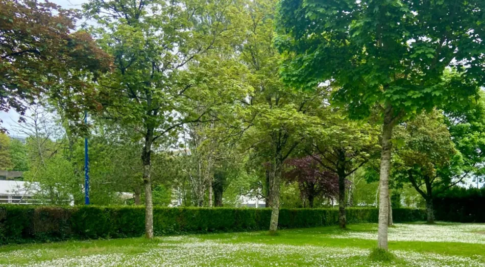 Camping Onlycamp Le Paradis