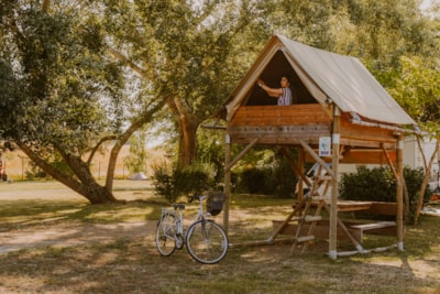 Bivouac Tent — 2