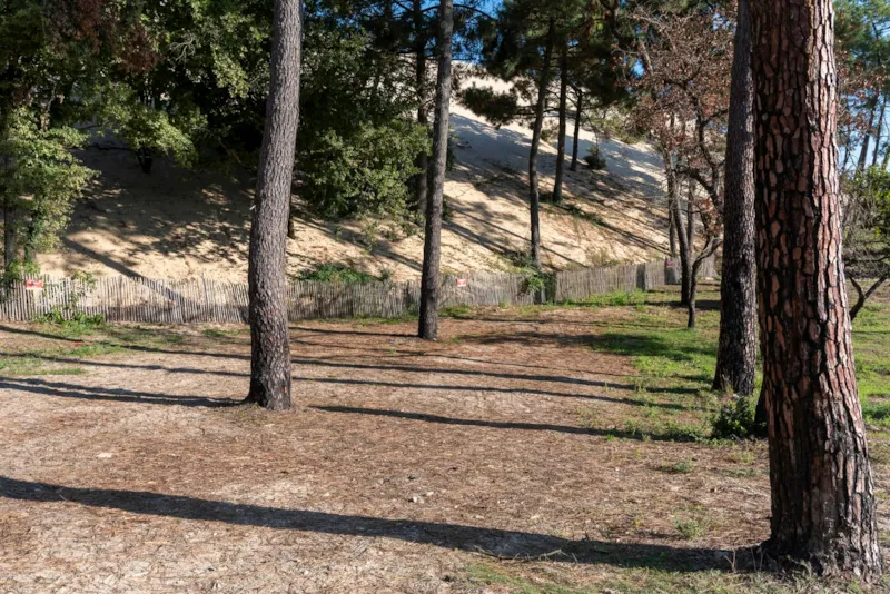 Emplacement Avec Électricité / M