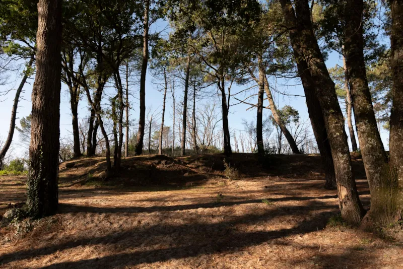 Emplacement Avec Électricité / M