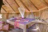 Cabañas En Los Árboles Forest Camp Insolite Cabañas En Los Árboles Forest Camp Insolite