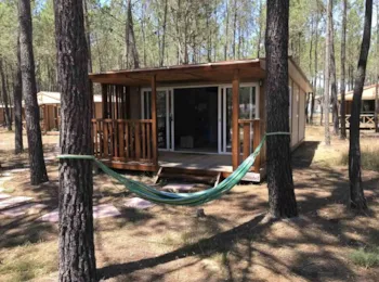 Mietunterkunft - Bungalow Family Premium - Wecamp Sao Miguel