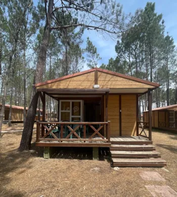 Mietunterkunft - Bungalow Basic Family - Wecamp Sao Miguel